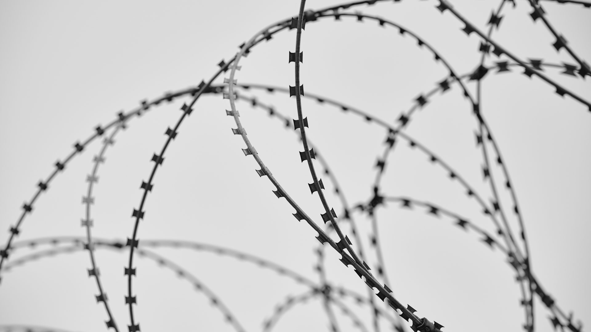 DIRICKX Systems Services 01