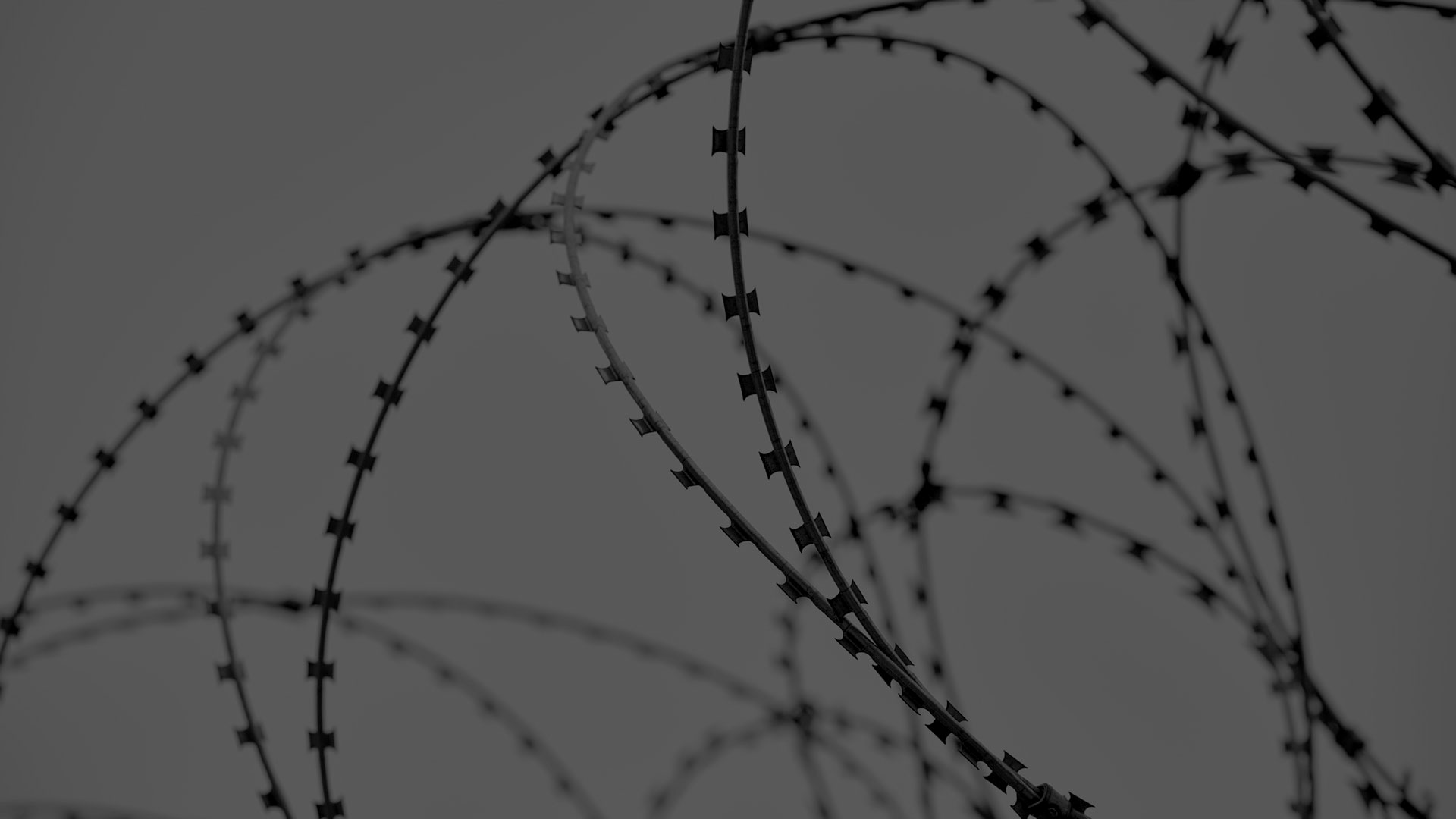 DIRICKX Systems Services 01 Darker