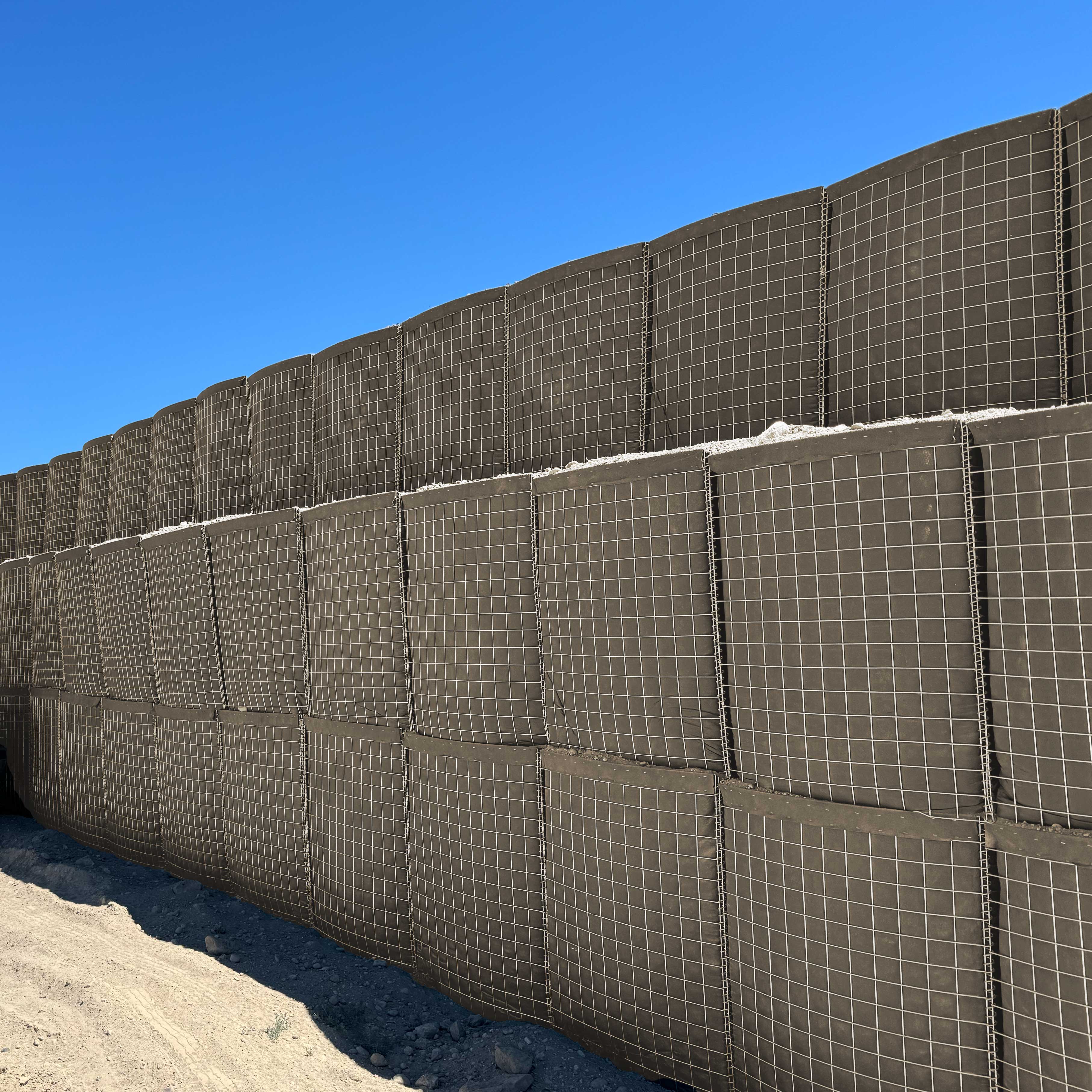 IMG 6222 250106Edit Cropbeige