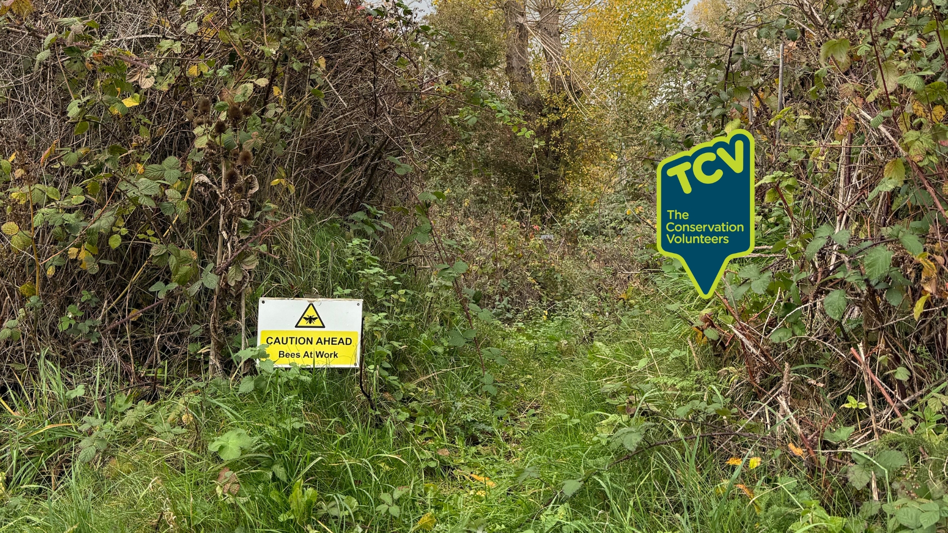 DIRICKX Skelton 25 Hero