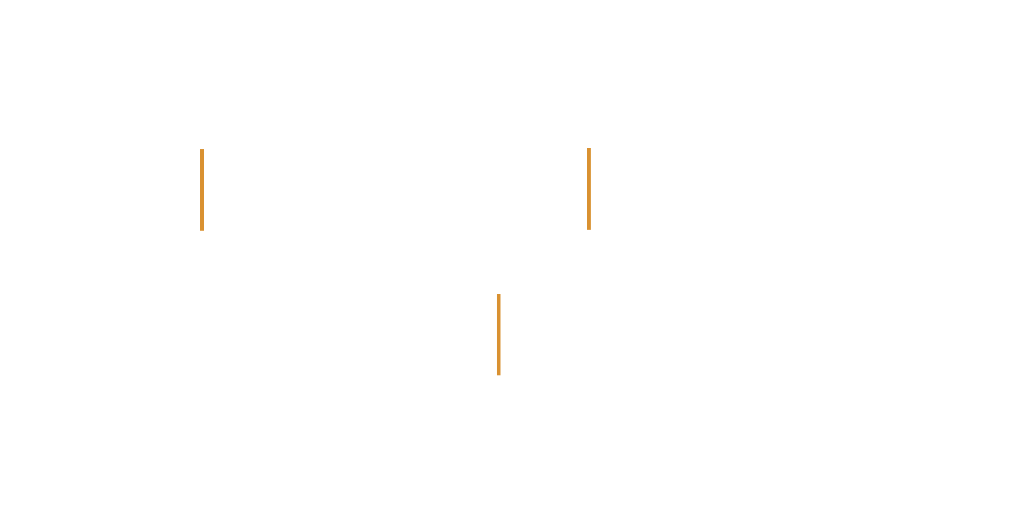 C OPS Protection Icons