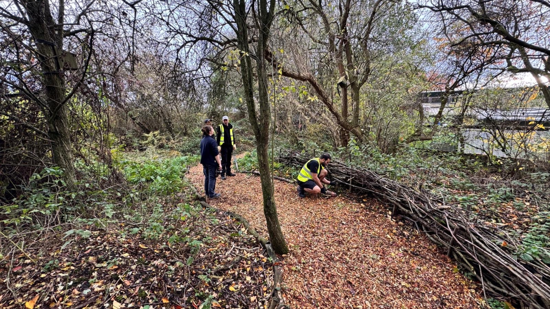 DIRICKX Skelton 25 Hero 2